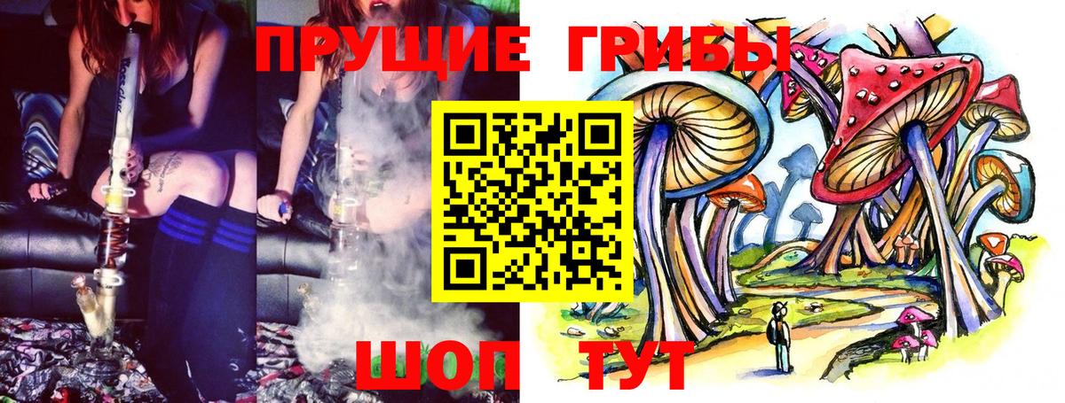 Галлюциногенные грибы GOLDEN TEACHER  Вход с VPN  Черемхово  Галлюциногенные грибы MAGIC MUSHROOMS 